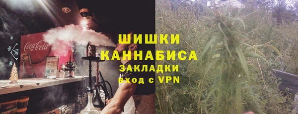apvp Каменка