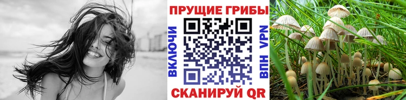 hydra как войти  Курильск  Псилоцибиновые грибы ЛСД 